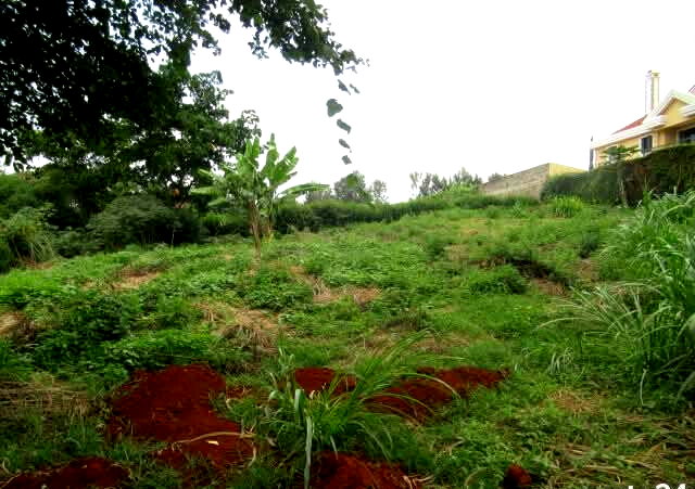 KSh 35M Garden Estate Plot