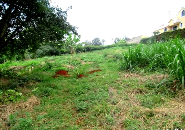 KSh 35M Garden Estate Plot