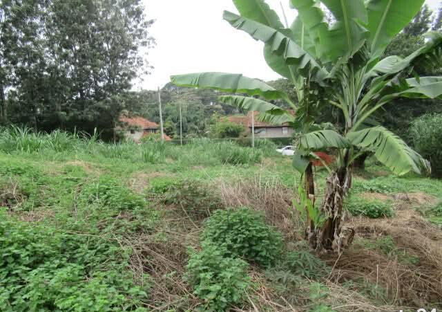 KSh 35M Garden Estate Plot