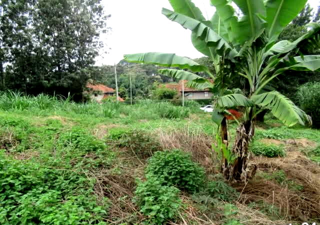 KSh 35M Garden Estate Plot