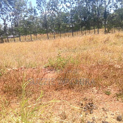 Three 50*100ft Plots Remaining at Kenol Katipanga - Image 4