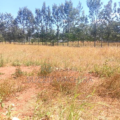 Three 50*100ft Plots Remaining at Kenol Katipanga - Image 2