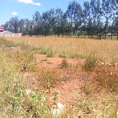 Three 50*100ft Plots Remaining at Kenol Katipanga - Image 3