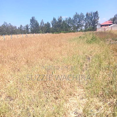 Three 50*100ft Plots Remaining at Kenol Katipanga - Image 5