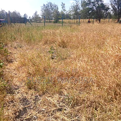 Three 50*100ft Plots Remaining at Kenol Katipanga - Image 1