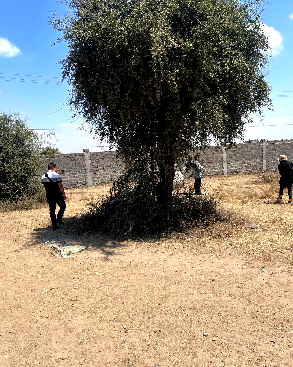KSh 22M Warehouse Opportunity