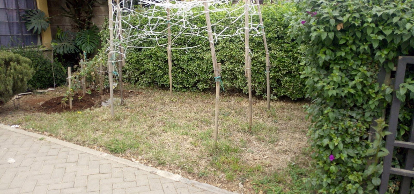 4BR Standalone Villa with DSQ & Borehole - Athi River