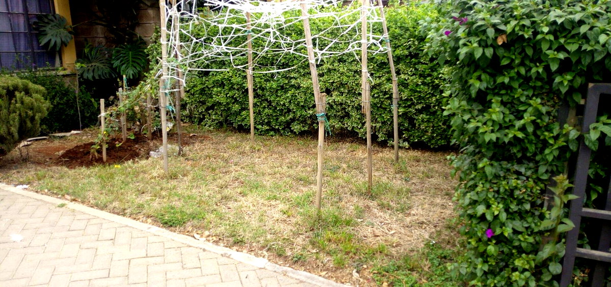 4BR Standalone Villa with DSQ & Borehole - Athi River