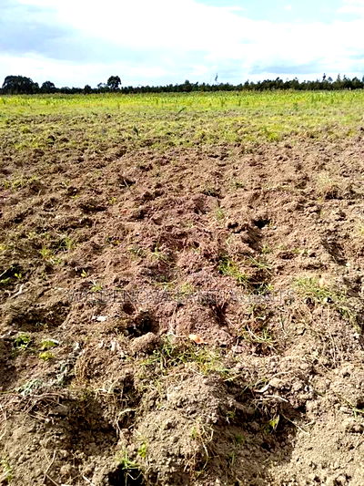 Land On Sale At Munyaka Kinangop - Image 1