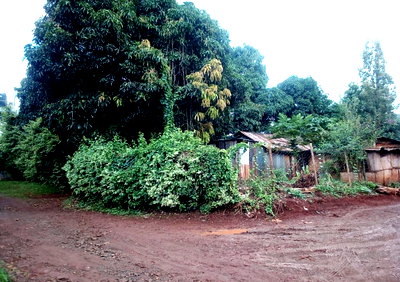 2/8 Acre Plot in Thindigua for KSh 17M