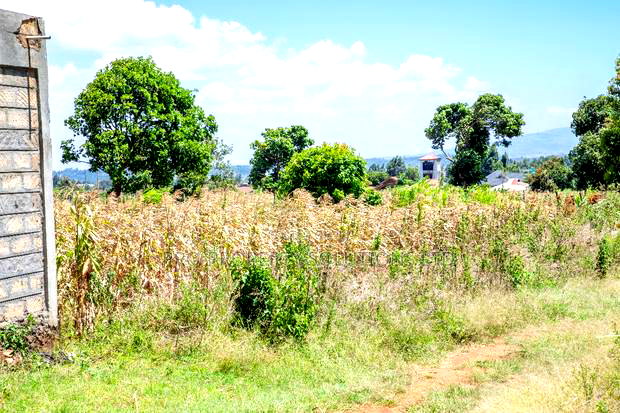 Prime Plot for Sale in Kikuyu, Kamangu.