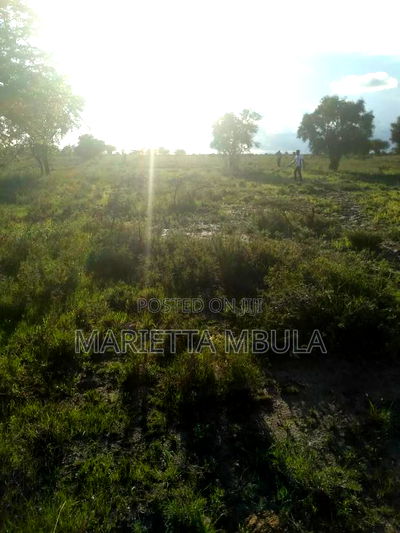 Kimalat Plots for Sale - Image 2