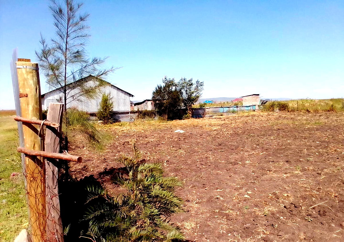 50x100 Plot for KSh 1.9M in Kitengela