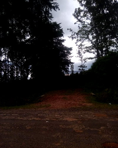 13-Acre Land at KSh 9M per Acre