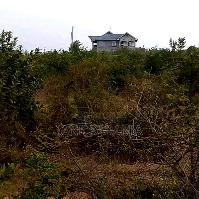 40 by 80 Plot for Sale Ngoliba - Image 2