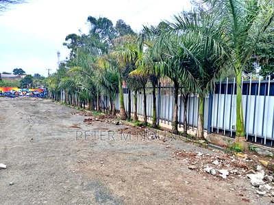 Prime 1/2 Acre Land on Sale, Thome 5,Mountain Mall - Image 5