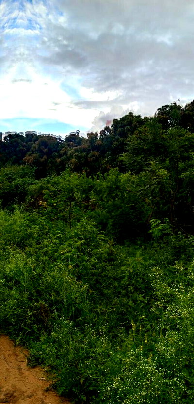 50x100 Plot in Wote Town