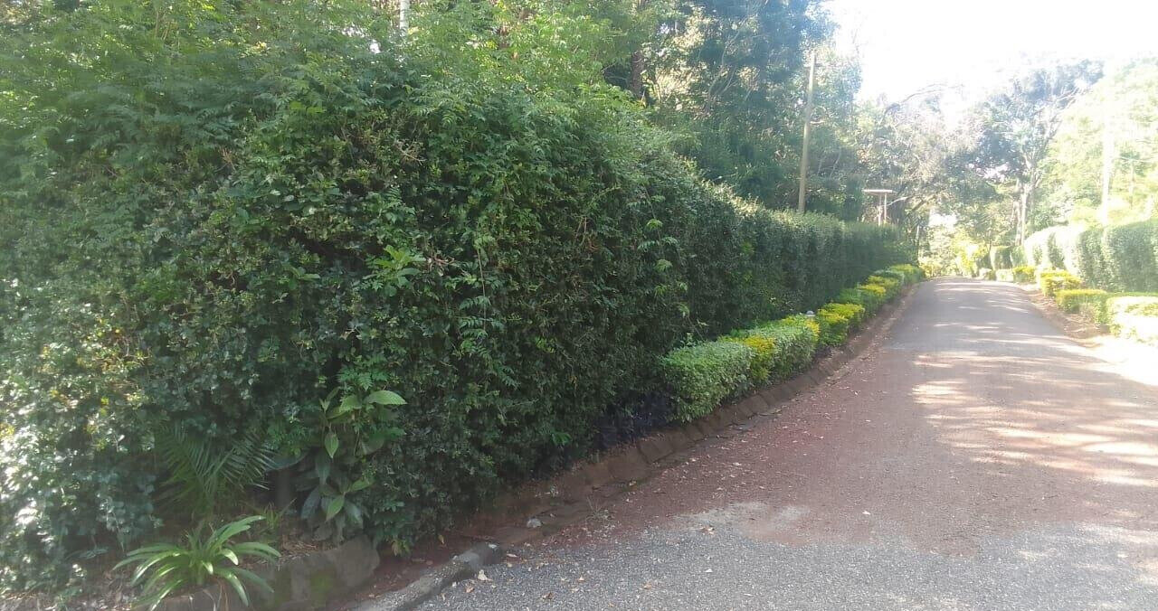 Half Acre Plot in Karen at KSh 55M