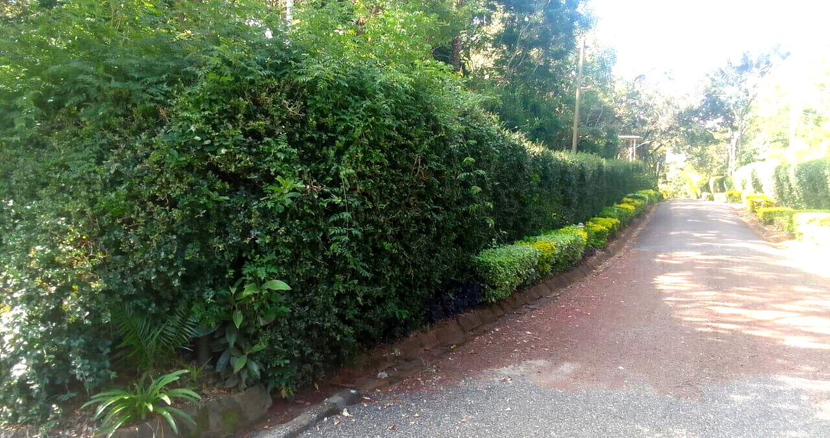 Half Acre Plot in Karen at KSh 55M