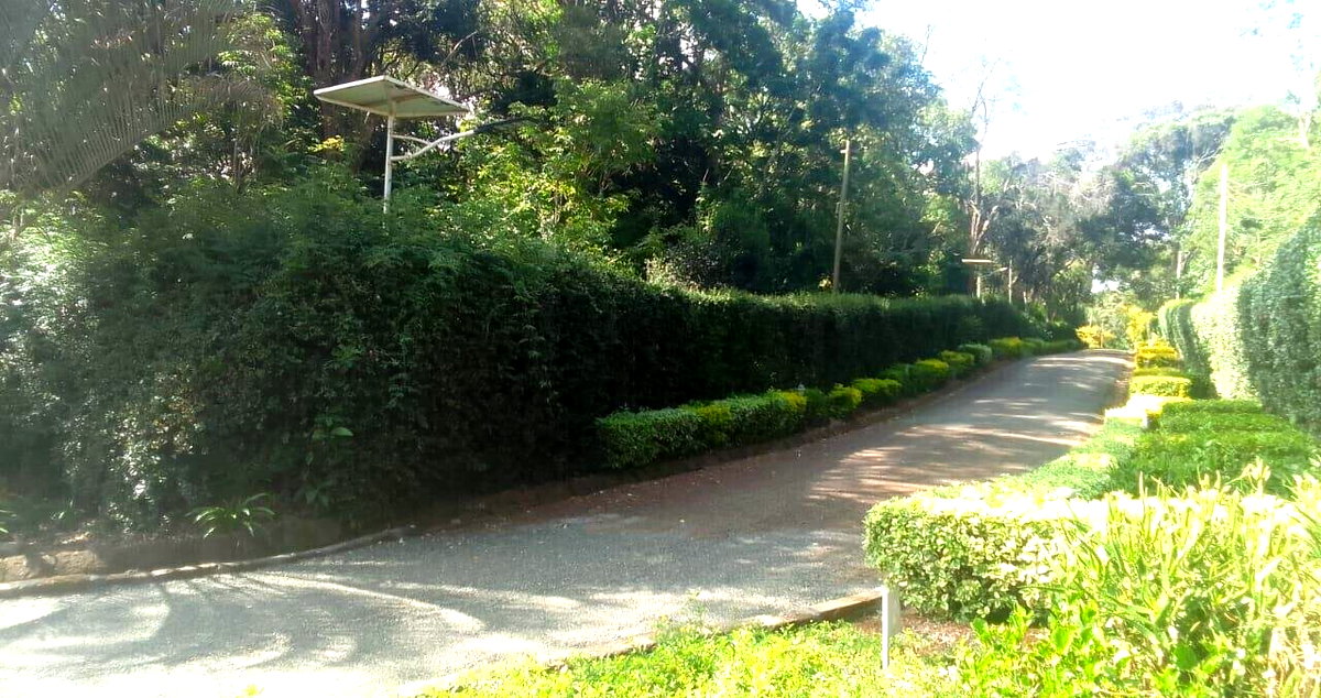 Half Acre Plot in Karen at KSh 55M