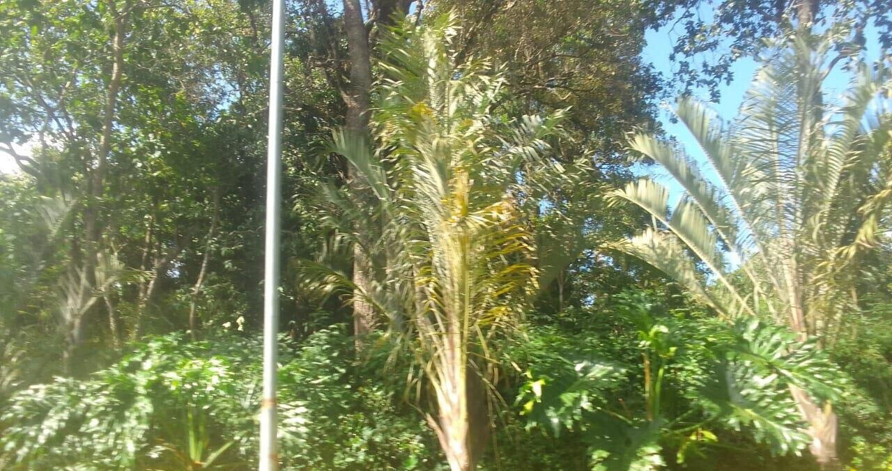 Half Acre Plot in Karen at KSh 55M