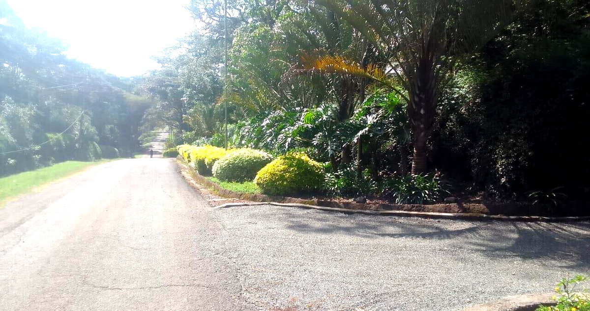 Half Acre Plot in Karen at KSh 55M