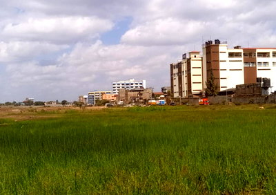 2.5-Acre Plot with Garden in Ruiru