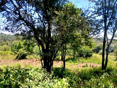 Prime 2.25 Acres Near Ankara Hotel, Lower Matasia - Image 2