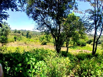 Prime 2.25 Acres Near Ankara Hotel, Lower Matasia - Image 1