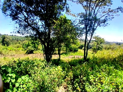 Prime 2.25 Acres Near Ankara Hotel, Lower Matasia - Image 4