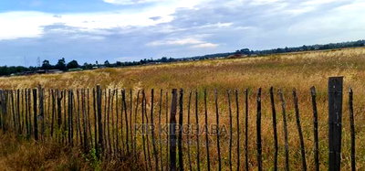 1 Acre Land for Sale in Kimumu Marura in Eldoret - Image 3