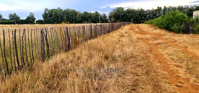 1 Acre Land for Sale in Kimumu Marura in Eldoret - Image 4