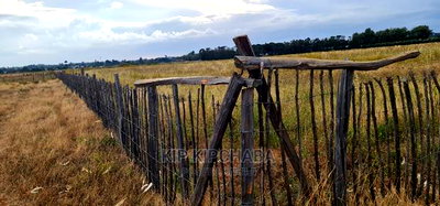 1 Acre Land for Sale in Kimumu Marura in Eldoret - Image 1