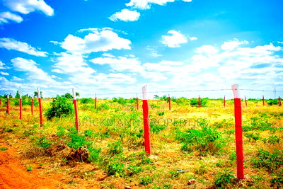 Plots for Sale in Matuu Kivandini - Image 3