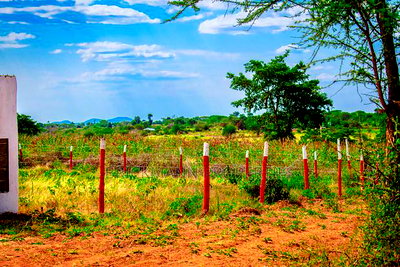 Plots for Sale in Matuu Kivandini - Image 4
