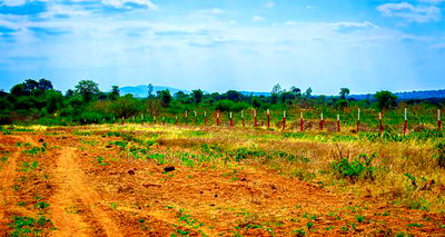 Plots for Sale in Matuu Kivandini - Image 1