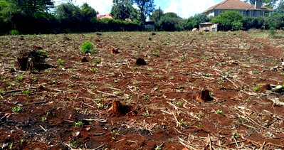 1-Acre Runda Plot with Garden at KSh 110M