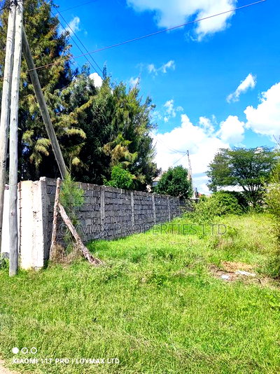 1/4 Residential Plot in Kitengela Muigai Estate - Image 3