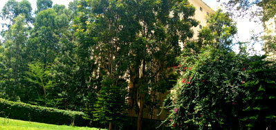 1 Acre Riverside Redevelopment Plot