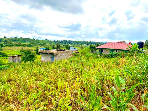 Affordable Residential Plot for Sale in Kikuyu, Rose Gate