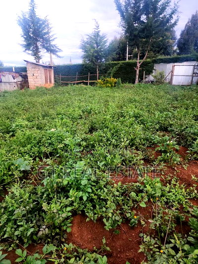 Prime Plot for Sale - Nyahururu-Nairobi Highway - Image 1