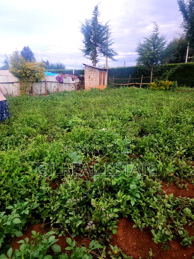 Prime Plot for Sale - Nyahururu-Nairobi Highway - Image 2