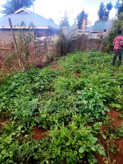 Prime Plot for Sale - Nyahururu-Nairobi Highway - Image 4