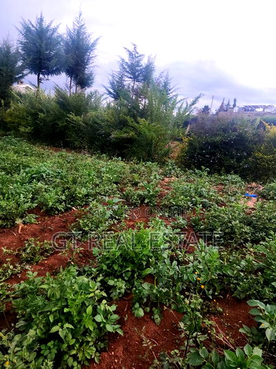 Prime Plot for Sale - Nyahururu-Nairobi Highway - Image 3