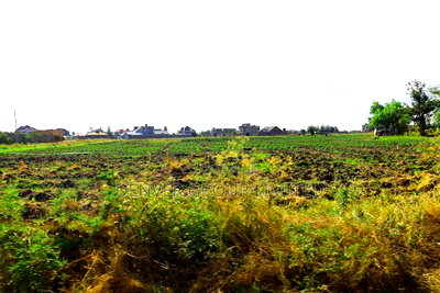 Residential 50*100 Plots 4km From Malaa Town - Image 2