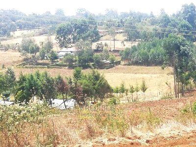 Prime Plots at Ngata Njoro 11km From Nakuru Town - Image 5