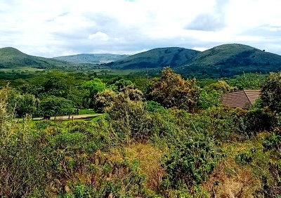 1.5-Acre Garden Plot with Parking