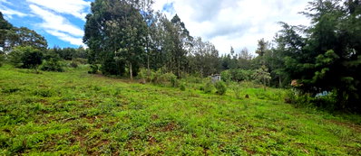 Quarter Acre Garden Plot at KSh 4.5M