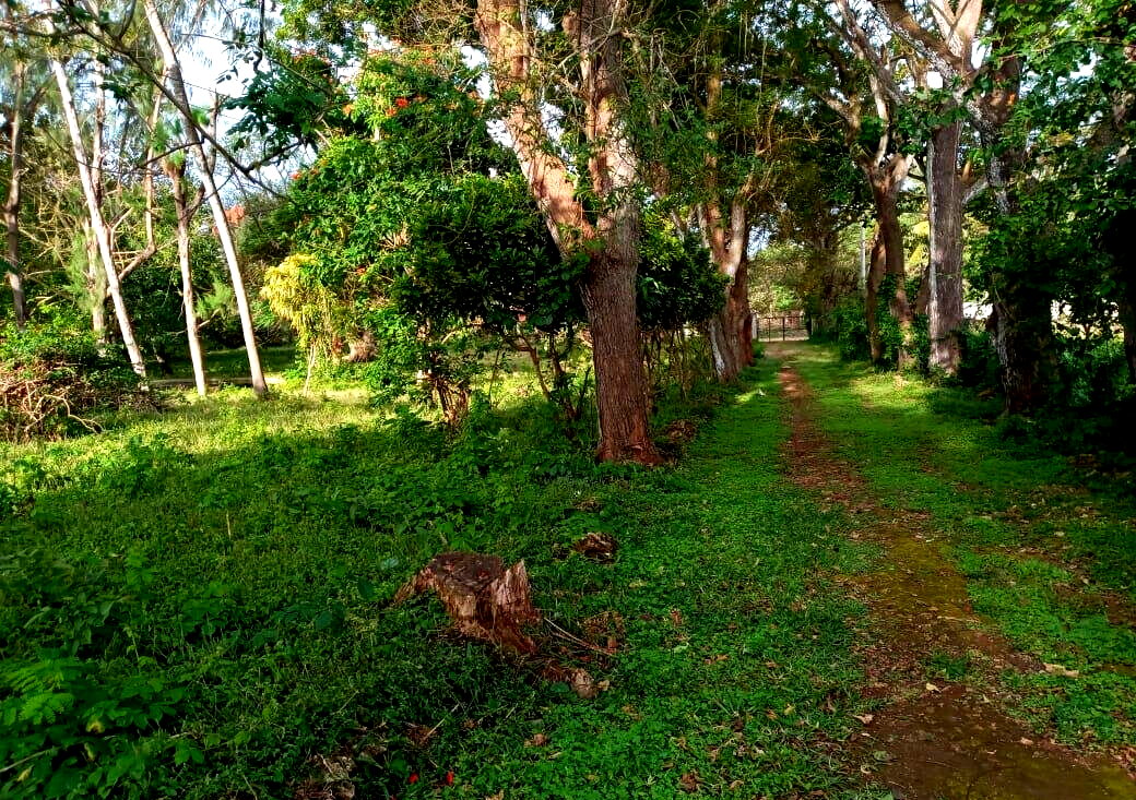 Beachside Gem for KSh 5.8M