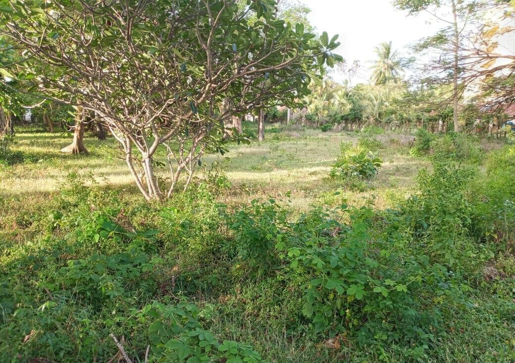 Beachside Gem for KSh 5.8M